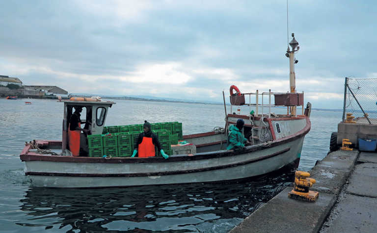 Court rules for DAFF in fishing rights allocation Court rules for DAFF in fishing rights allocation