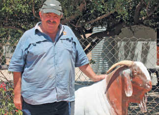 A successful Boer goat stud in the Hantam Karoo