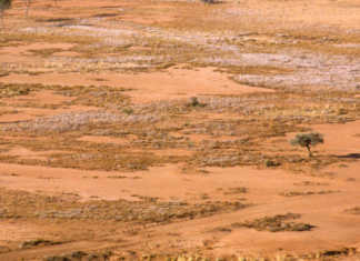 Extreme El Niño still expected, even if global warming halts