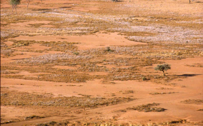 Extreme El Niño still expected, even if global warming halts