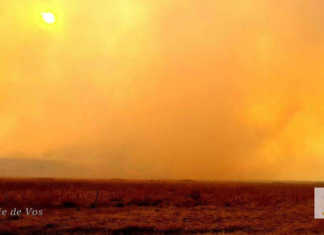 Veld fires scorch eastern Free State farms Veld fires scorch eastern Free State farms