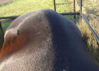 Dealing with sacroiliac injuries