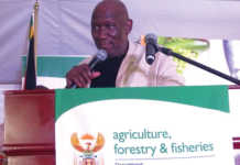 DAFF needs R20 billion to accelerate agriculture reform