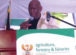 DAFF needs R20 billion to accelerate agriculture reform DAFF needs R20 billion to accelerate agriculture reform