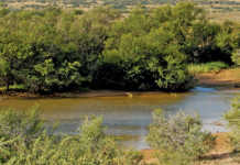 First fracking exploration rights approved in KZN