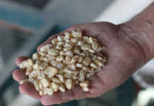 NWK announces R52 million profit NWK announces R52 million profit