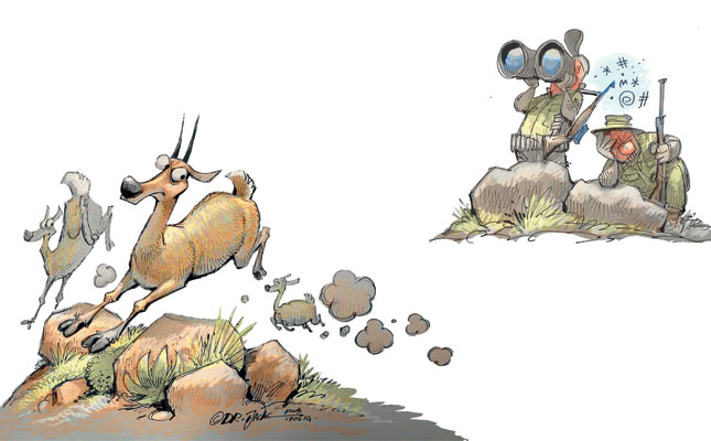 Grey Rhebok – phantom of the veld Grey Rhebok – phantom of the veld