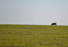 Planned salary strike for ARC staff