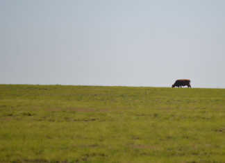 Planned salary strike for ARC staff Planned salary strike for ARC staff