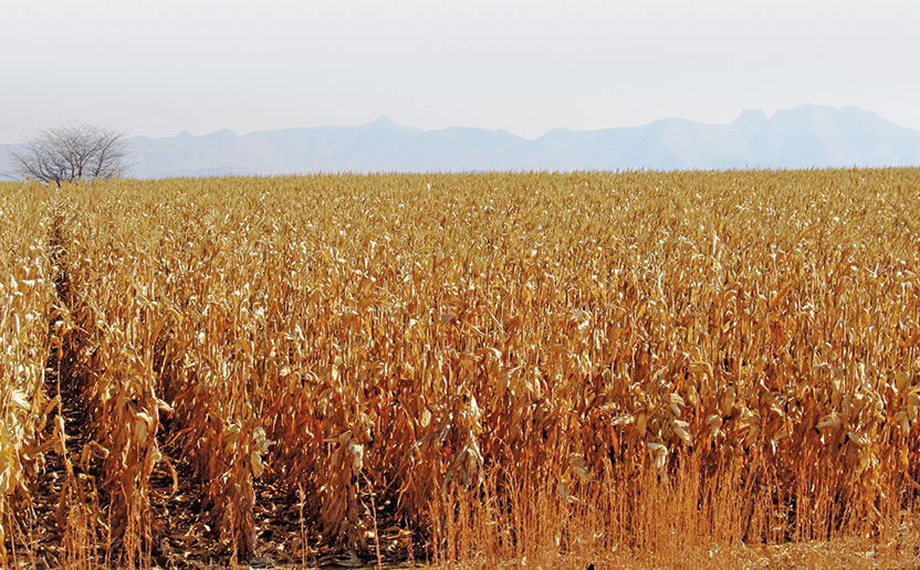ChemChina completes Syngenta takeover