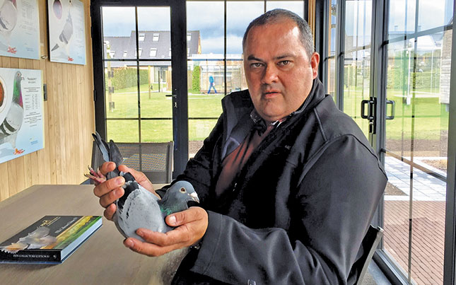 The R5 million racing pigeon