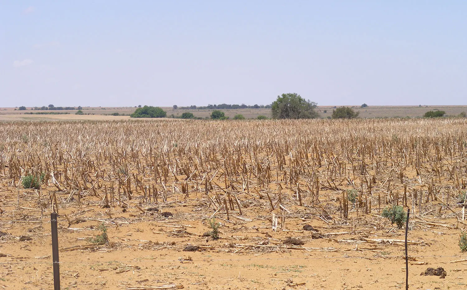 Drought depletes farmers’ cash flow in Northern Cape