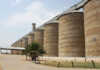 Silos need more space for bumper crop Silos need more space for bumper crop