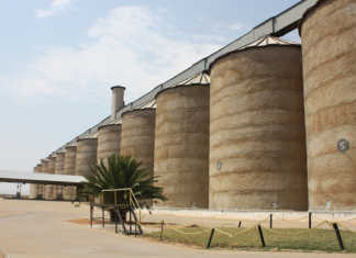 Silos need more space for bumper crop Silos need more space for bumper crop