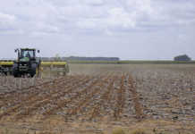 SARS issues guidelines for diesel rebate repayments SARS issues guidelines for diesel rebate repayments