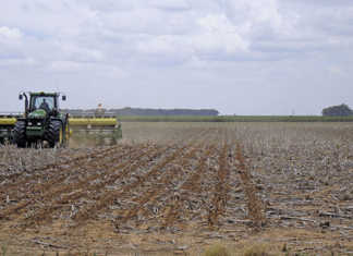 SARS issues guidelines for diesel rebate repayments