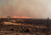 About 50 farmers from the Bethulie district assisted state officials in containing a wildfire in the area on 15 August. Photo: Facebook/Free State Agriculture
