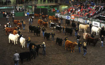 Farmfair International (FFI)