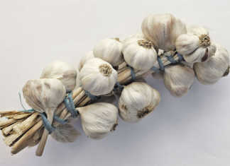 Some tips for growing garlic