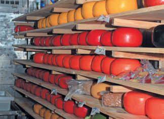 Karoo cheesery’s big plans for the community