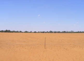 El Niño no longer predicted for SA El Niño no longer predicted for SA