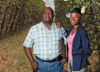 The benefits of choosing a career in agri - Nono Sekhoto