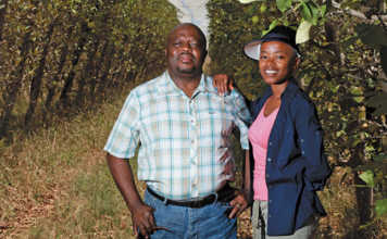 The benefits of choosing a career in agri - Nono Sekhoto