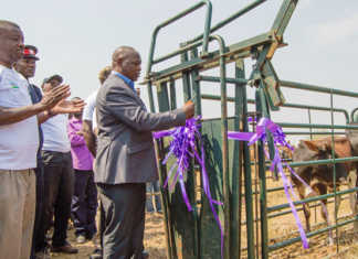 Smallholder cattle development project launched in Zambia Smallholder cattle development project launched in Zambia