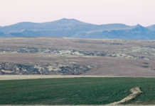 Better policies can improve SA’s agri-outlook