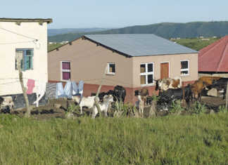 The three things black farmers need