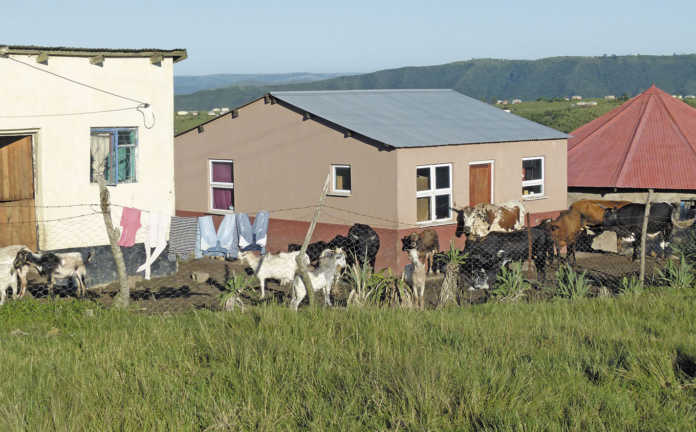 The three things black farmers need