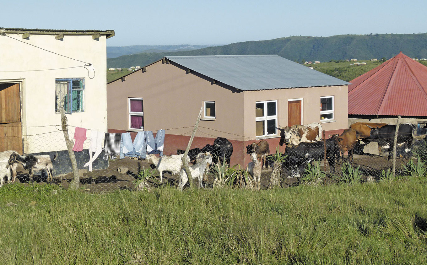 The three things black farmers need