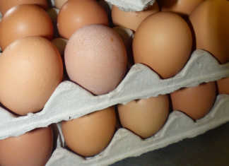Netherlands scrambles to undo eggs disaster