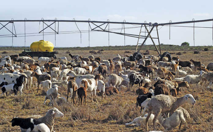 What you need to know about trust laws