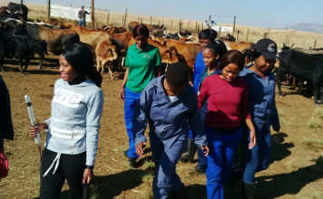 Linda Zwane, empowering women farmers in Mpumalanga