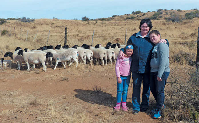 Veld rearing & good dam selection: key to top Dorpers