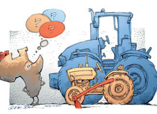 Farming in Africa: bigger is not always better, studies show
