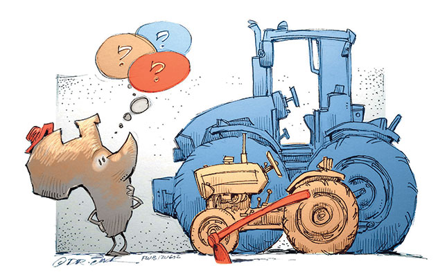 Farming in Africa: bigger is not always better, studies show