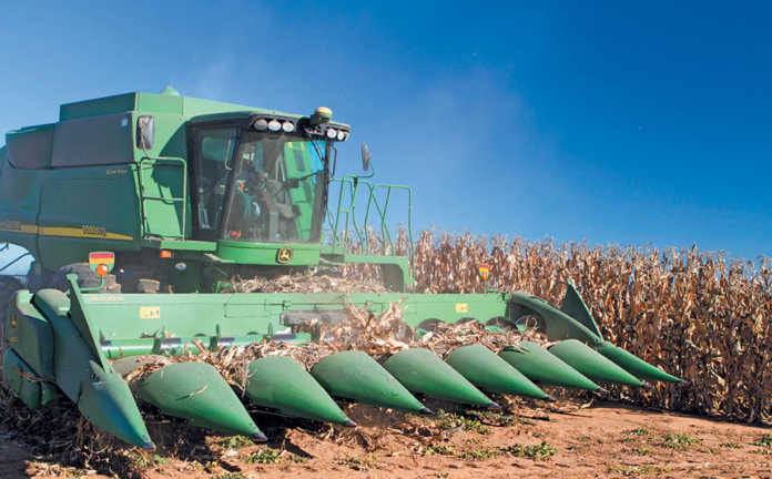 Young farmer intends farming into the future