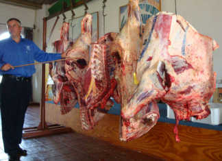 Zimababwe hosts 6th Stockmanschool Zimbabwe hosts 6th Stockmanschool