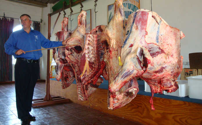 Zimbabwe hosts 6th Stockmanschool