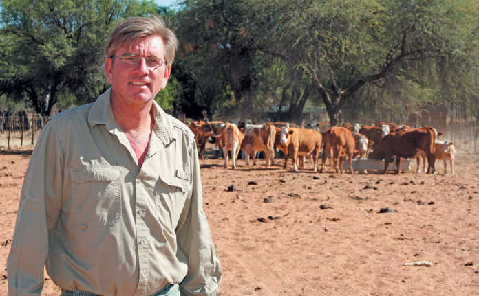 Namibian Simmentaler stud going from strength to strength