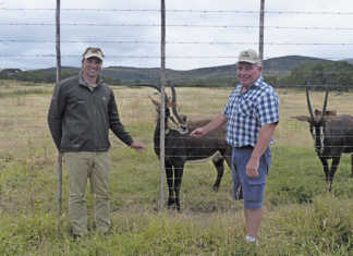 Cashing in on game farming in the Eastern Cape