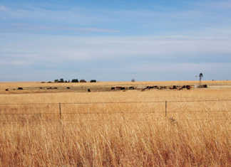 Agri SA to potentially change to Pty Ltd