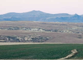 Agriculture’s labour time bomb
