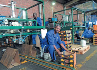 Carton factory cooperative pays off for citrus farmers