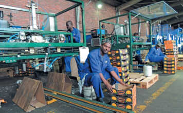 Carton factory cooperative pays off for citrus farmers