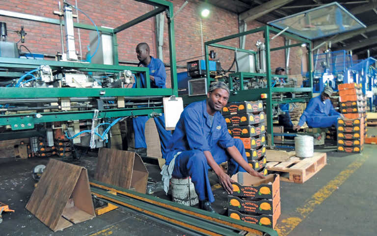 Carton factory cooperative pays off for citrus farmers Carton factory cooperative pays off for citrus farmers