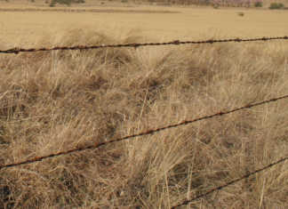 Investigations continue against Wesselsbron labour broker