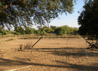 Botswana reports suspected foot-and-mouth outbreak Botswana reports suspected foot-and-mouth outbreak